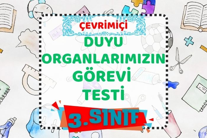 DUYU ORGANLARININ GÖREVİ