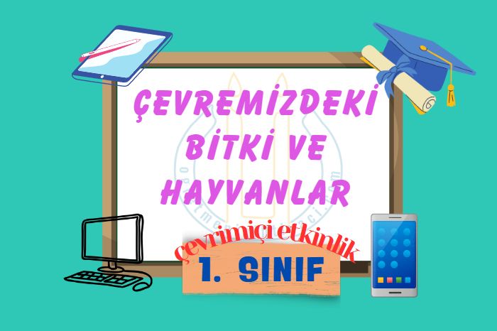 ÇEVREMİZDEKİ BİTKİ VE HAYVANLAR