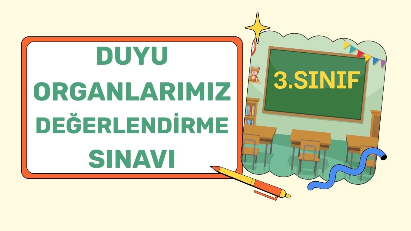 DUYU ORGANLARI testi 1