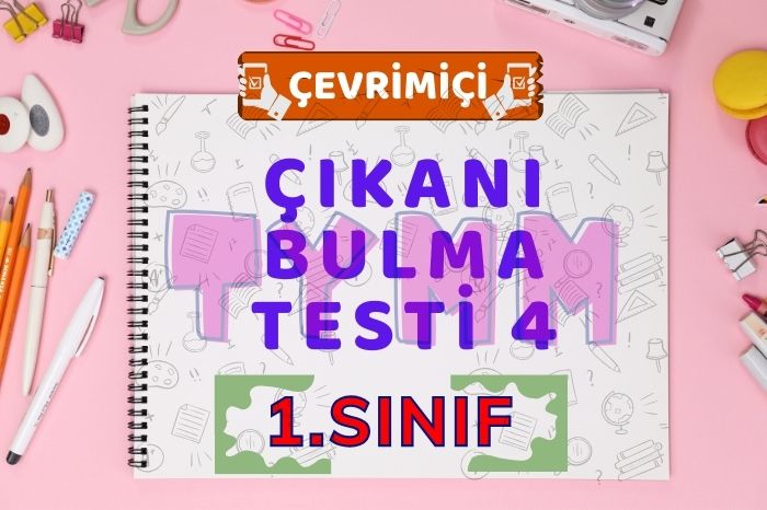 ÇIKANI BULMA 4