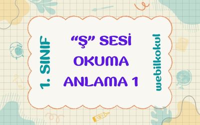 “ş” SESİ OKUMA ANLAMA SORULARI 1